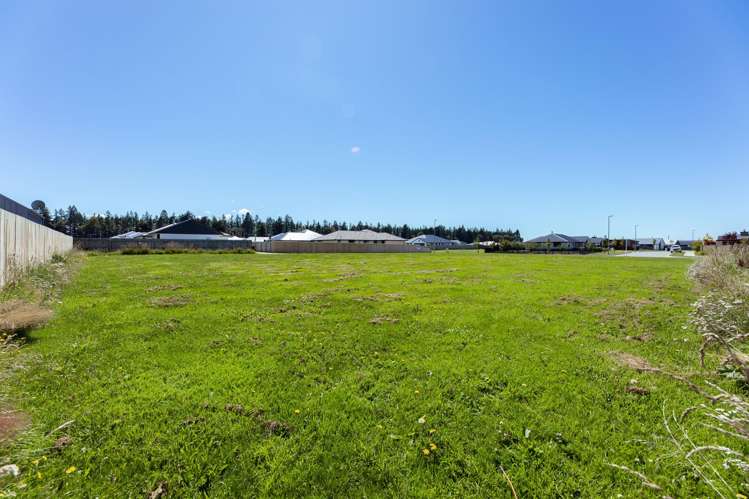 11a Memorial Crescent Methven_12