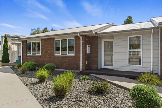 19 Seddon Road Hamilton_1