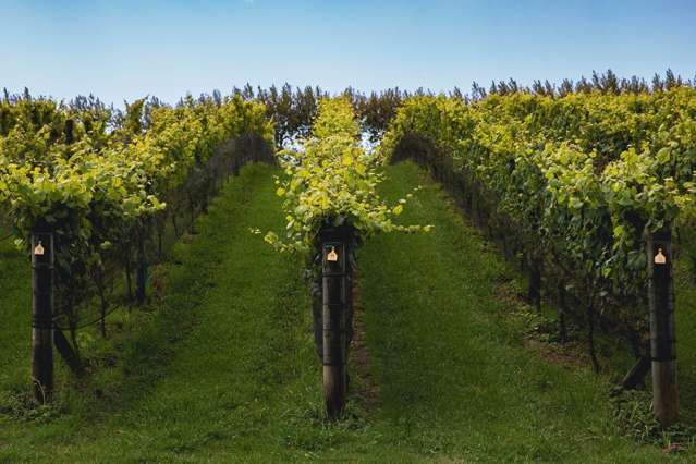 Address withheld Waitakere_4