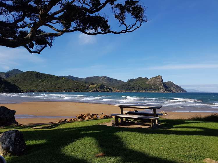 329 Blind Bay Road Great Barrier Island (Aotea Island)_11