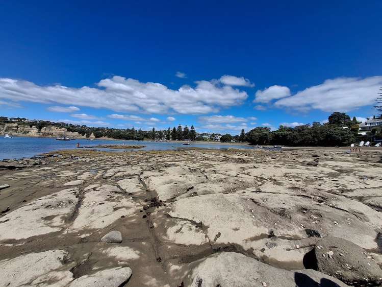 918 Beach Road Waiake_14