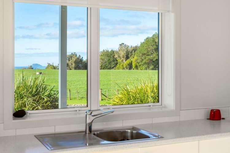 854 Wright Road Aongatete_14