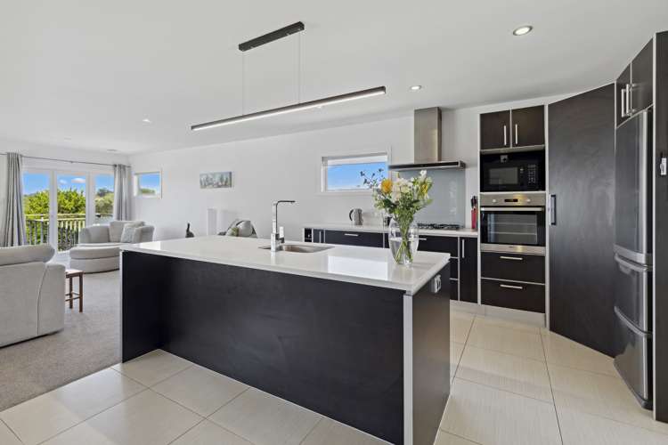 123 Kahikatea Flat Road Dairy Flat_7