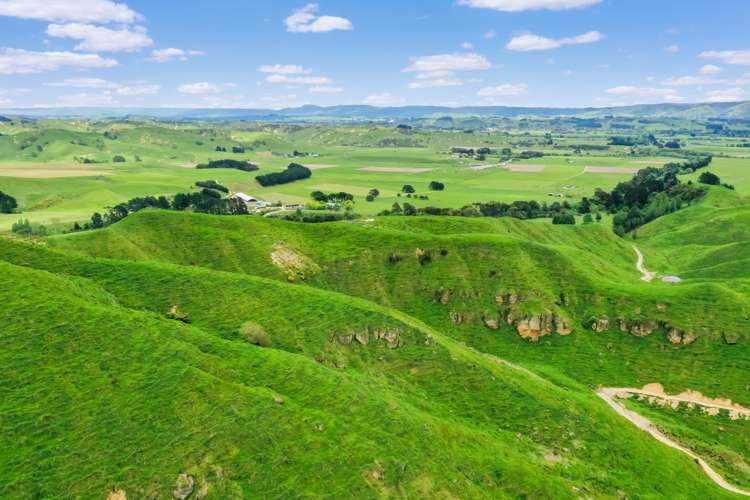 Thompsons Road Pahiatua_7