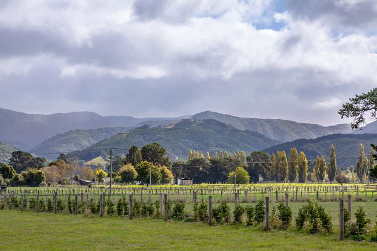 327 Dalefield Road Carterton_7