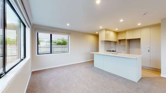 29a Comber Place Johnsonville_1