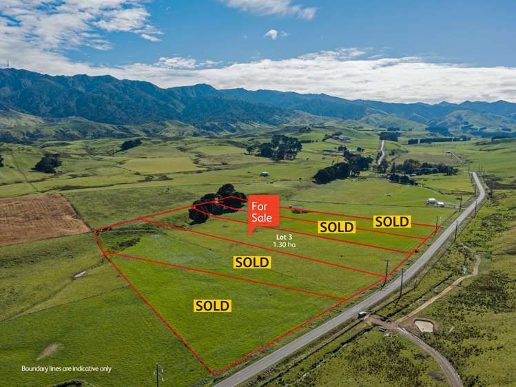 465 Pinfold Road Woodville_1