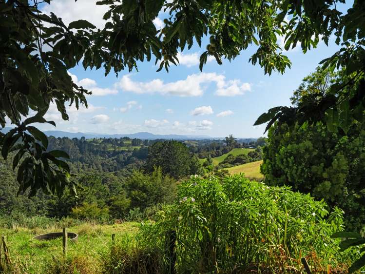 210 Wainui South Road Whakamarama_13