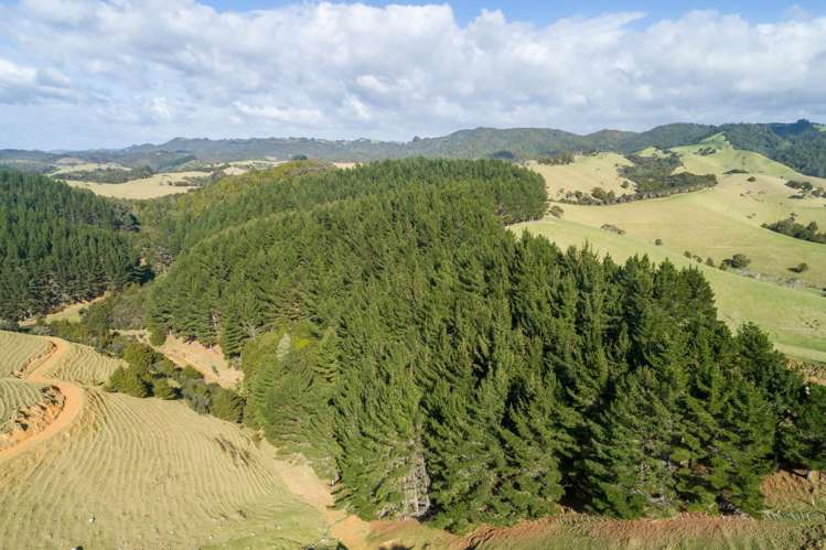 1133&1137 Matapouri Road Matapouri_41