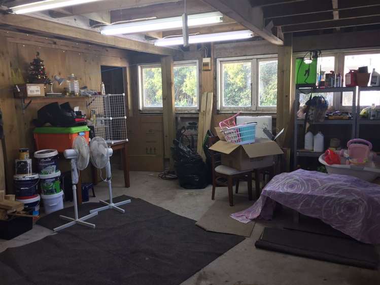 69 Withers Road Glen Eden_16