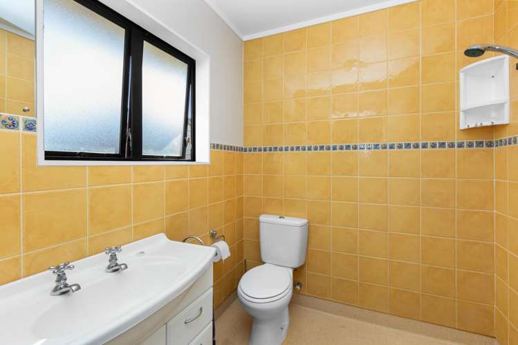 38 Rushton Road Morrinsville_12