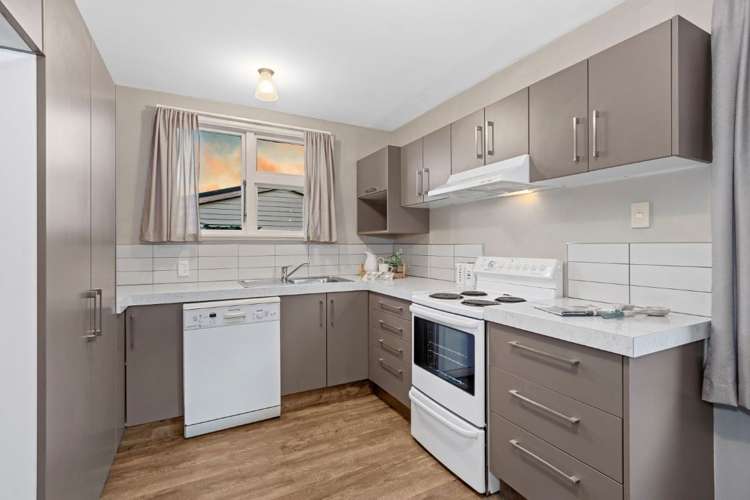 16 Mcintyre Street Shirley_5