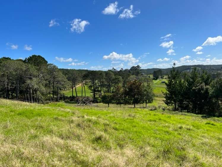 120a Escott Road Dairy Flat_13