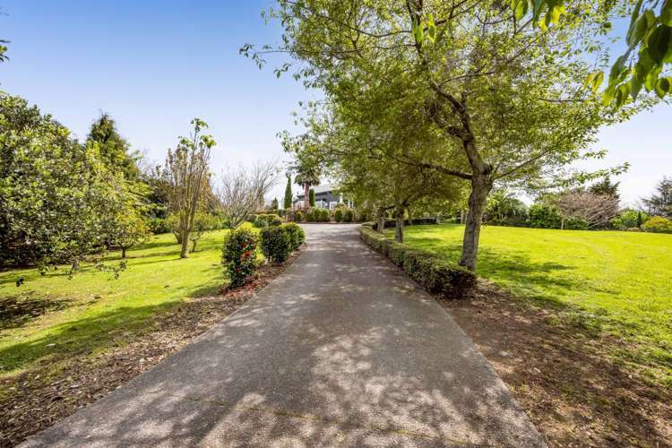 104 Pitt Road Hillsborough_52