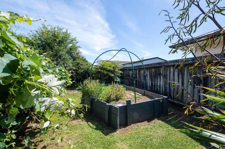 533 Cambridge Road Te Awamutu_23