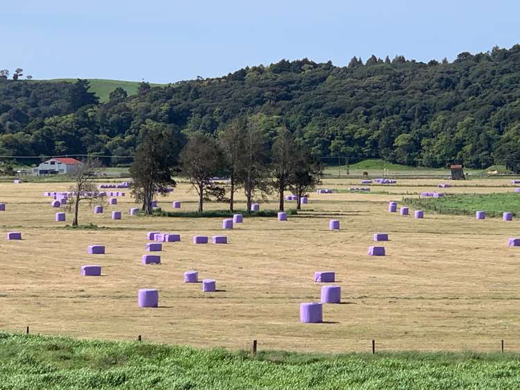 1034 Kaipara Coast Highway Kaukapakapa_29