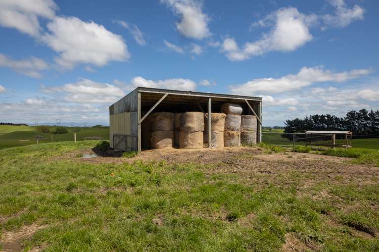 274 Finnis Road Pohangina_20