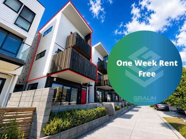 Beautiful 3 Bedroom in Hobsonville