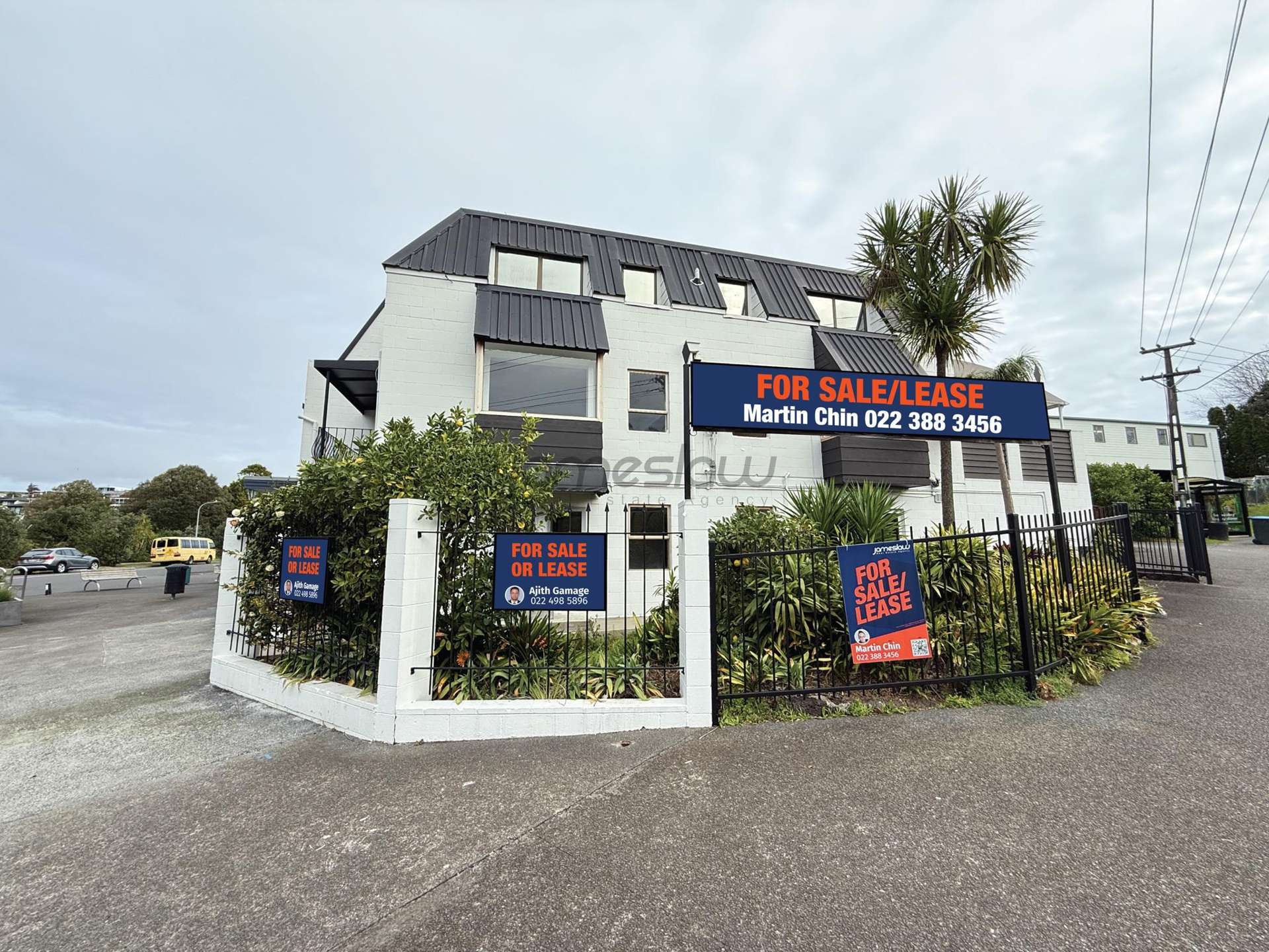 1A Roberta Avenue Glendowie_0