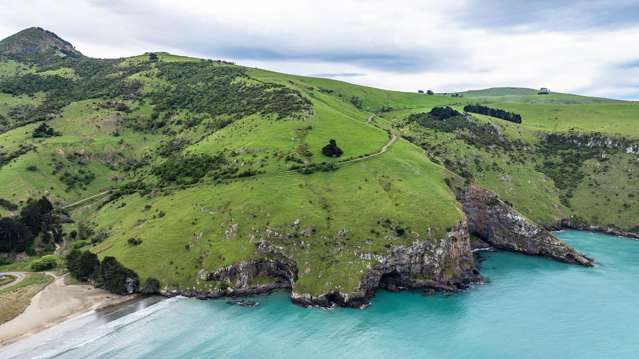 894 Le Bons Bay Road Le Bons Bay_3