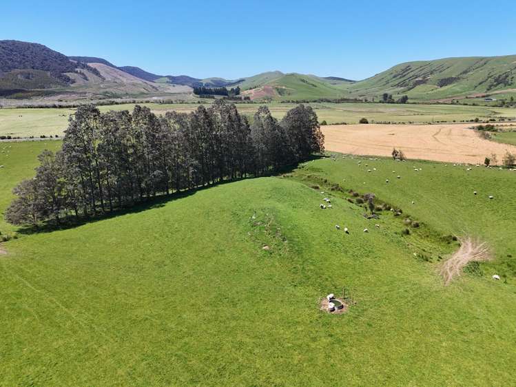 124 Niagara Waikawa Road Niagara_15