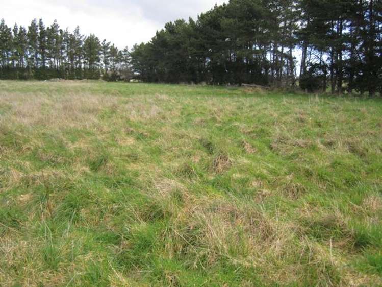 810 North Road Lorneville_16