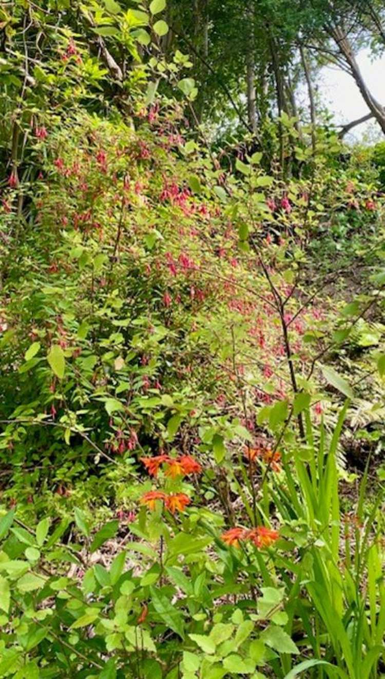 4a & 6 McIntosh Road Brighton_17