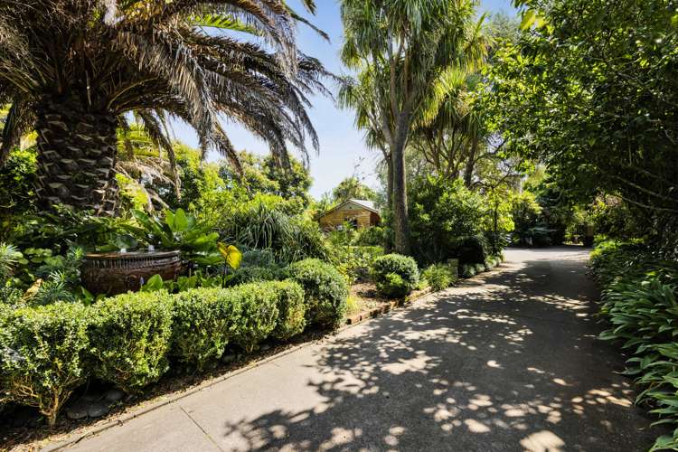 7 Mace Terrace Oakura_20