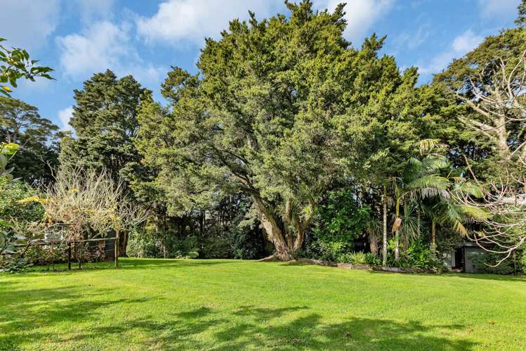 270 Vinegar Hill Road Kauri_31