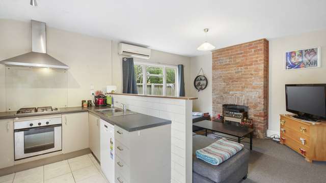 49 Cadogan Street Sydenham_2