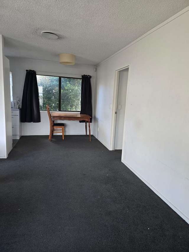 46A Boundary Road Claudelands_1