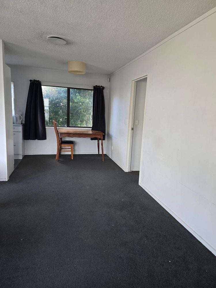 46A Boundary Road Claudelands_1