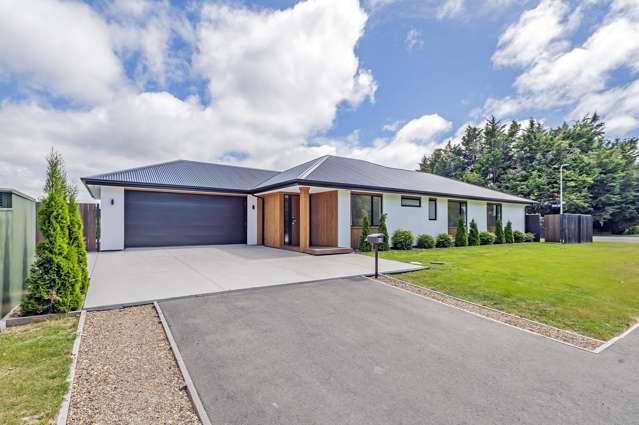 Contemporary Comforts, Southbridge Charm