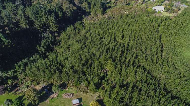 168 Seaton Valley Road Upper Moutere_14