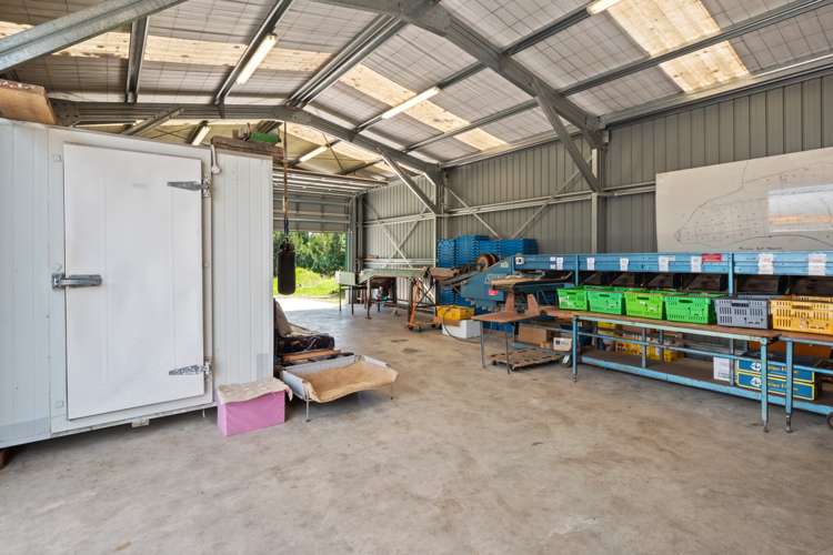 Matahui Road Aongatete_11