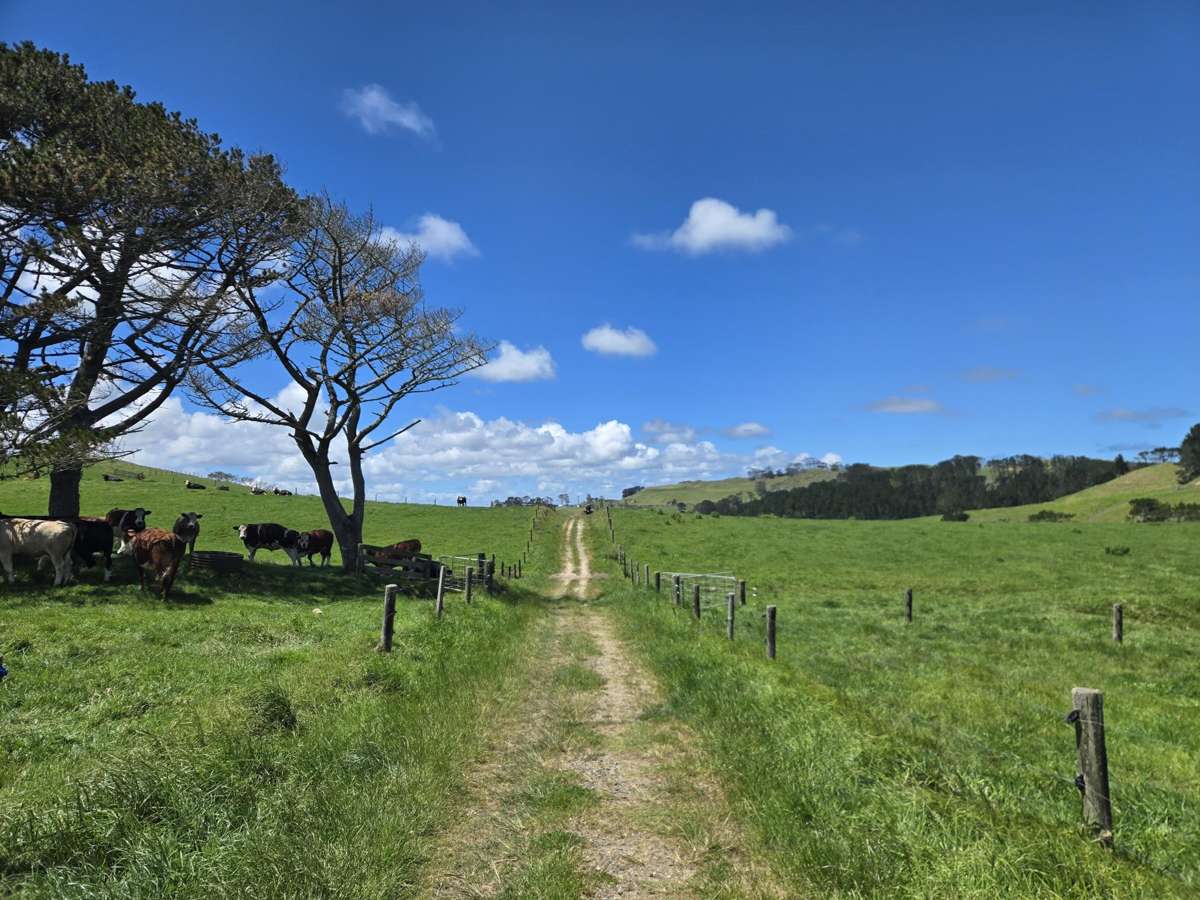 1090 Te Maire Road_3