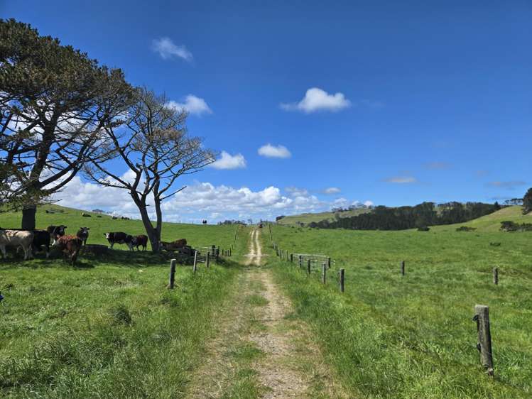 1090 Te Maire Road Dargaville_7