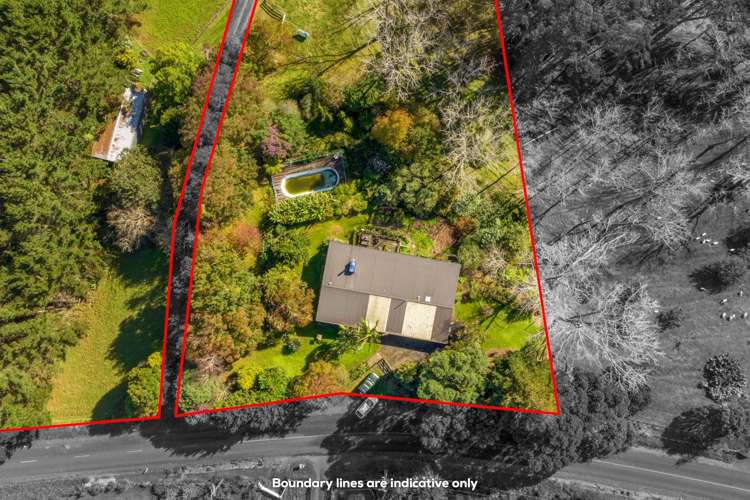 162 Ara-Kotinga Whitford_9