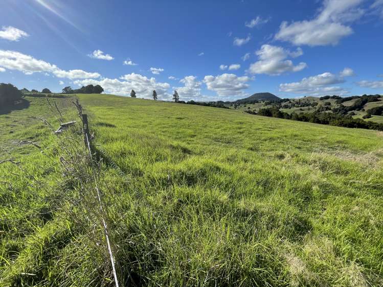 203 Otuhi Road Mangapai and Surrounds_16