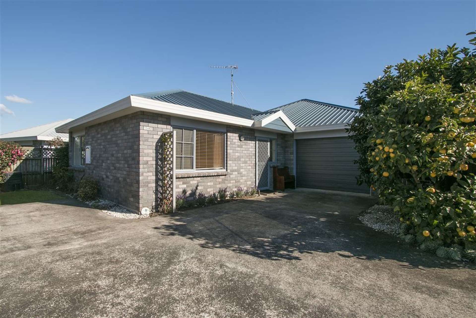 124b Wills Road Katikati_0