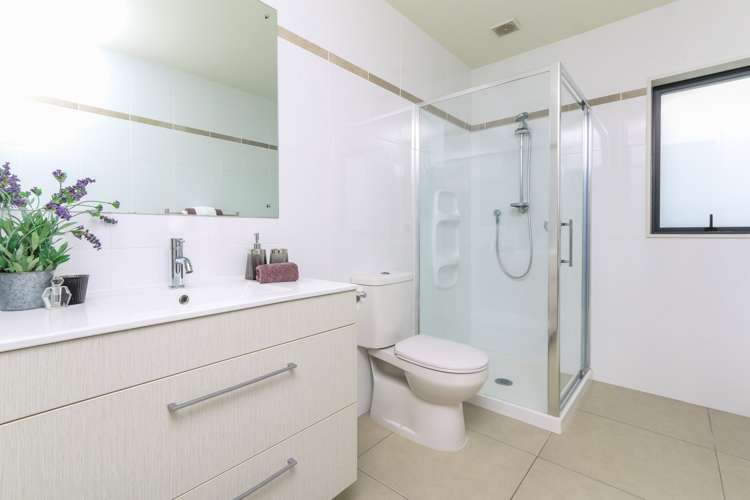 365 College Road Stonefields_11