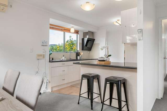 19 Metro Avenue Nawton_3