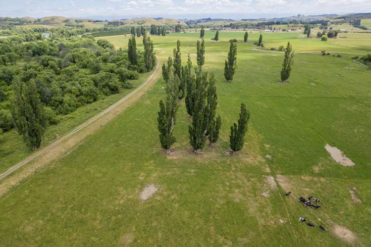 566 Pourerere Road Waipawa_19