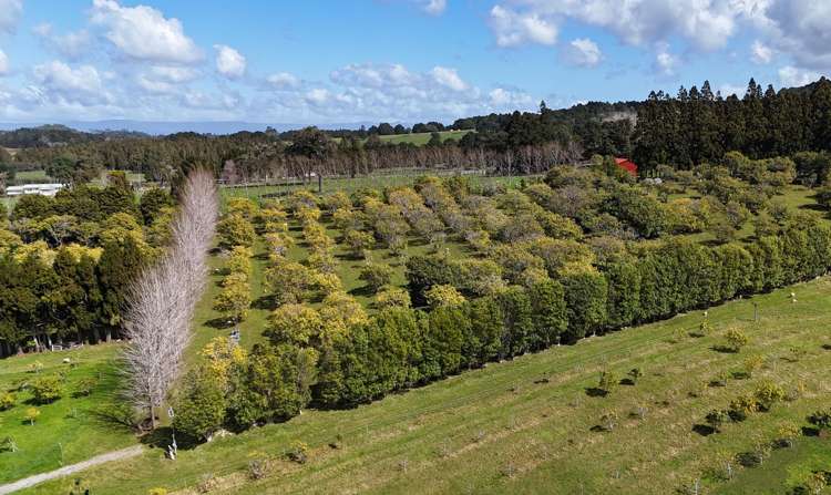 5631 State Highway 12 Kaikohe_19