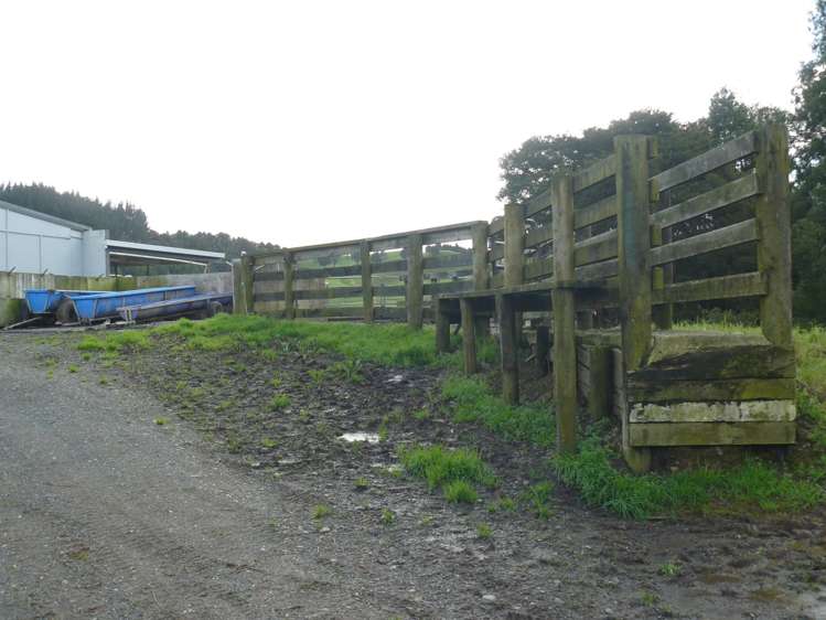 1907 Diggers Valley Road Kaitaia_18