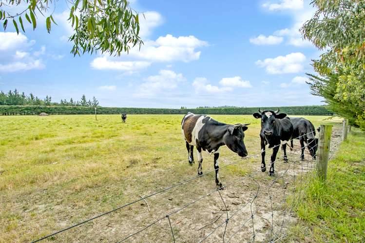 316 Bangor Road Darfield_20