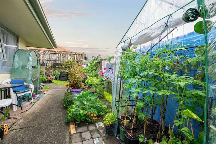 12 Cretian Crescent Henderson_9