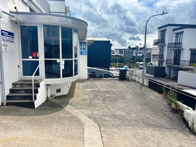 35 Randolph Street Eden Terrace_2