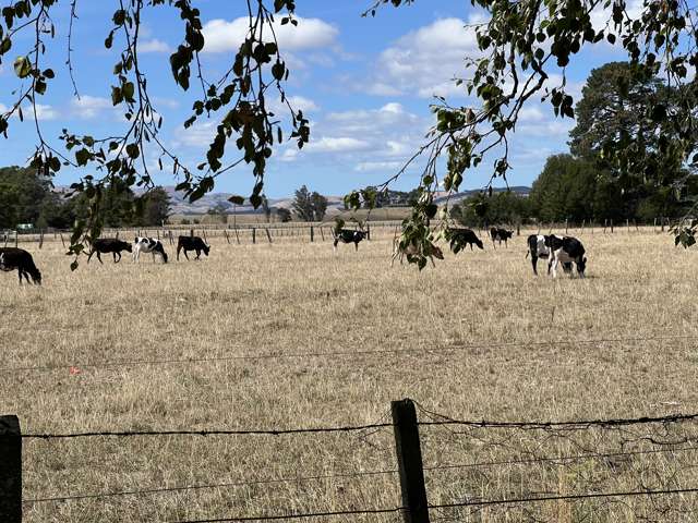 26 Moore Crescent Carterton_1