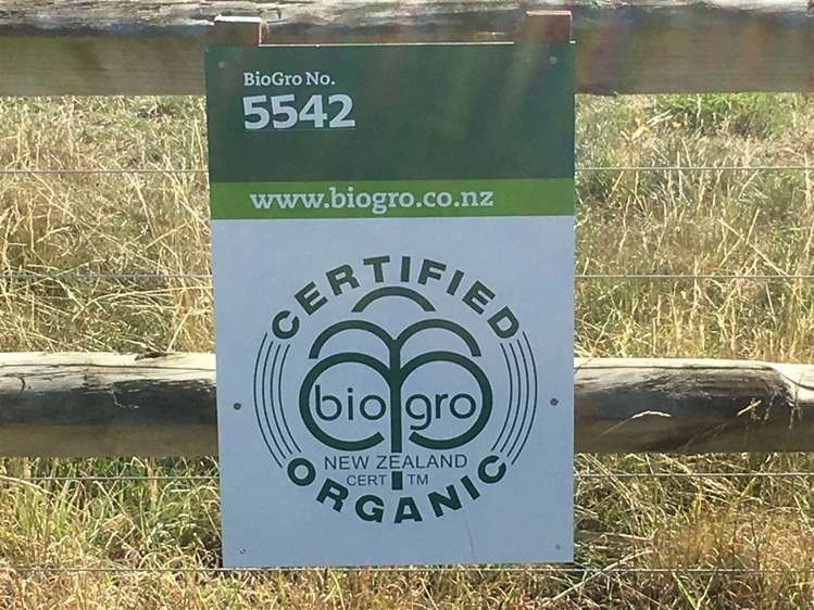 306 Georges Road Amberley_12